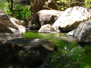 photo thumbnail #13