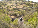 photo thumbnail #15