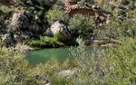photo thumbnail #6