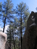 photo thumbnail #9