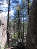 photo thumbnail #10