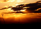 photo thumbnail #15
