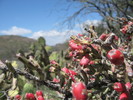 photo thumbnail #12