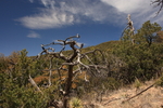 photo thumbnail #6