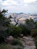 photo thumbnail #9