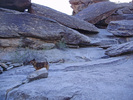 photo thumbnail #3