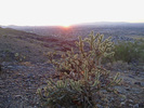 photo thumbnail #4