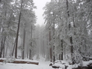 photo thumbnail #10