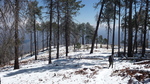 photo thumbnail #14