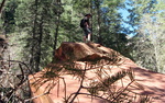 photo thumbnail #4