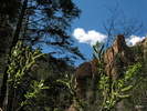 photo thumbnail #8