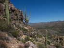 photo thumbnail #13