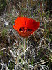 Featured Full Photo