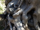 photo thumbnail #8