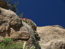 photo thumbnail #10