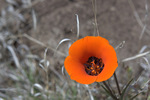 photo thumbnail #11