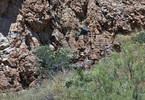 photo thumbnail #15