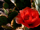 photo thumbnail #1