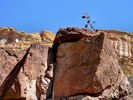 photo thumbnail #5