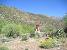 photo thumbnail #6