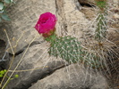 photo thumbnail #13