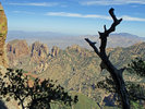 photo thumbnail #11