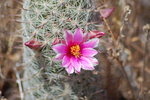 photo thumbnail #14
