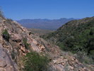photo thumbnail #11