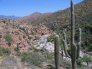 photo thumbnail #13
