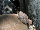 photo thumbnail #13