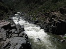 photo thumbnail #15