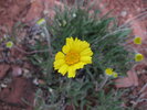 photo thumbnail #12