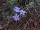 photo thumbnail #15