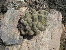photo thumbnail #5