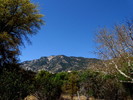 photo thumbnail #1