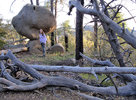 photo thumbnail #1