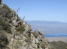 photo thumbnail #13
