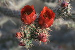 photo thumbnail #2