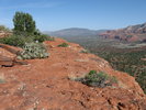 photo thumbnail #10