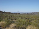 photo thumbnail #5