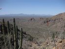 photo thumbnail #10