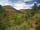photo thumbnail #4