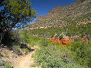 photo thumbnail #13