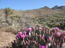 photo thumbnail #2