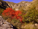 photo thumbnail #1