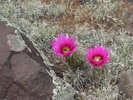photo thumbnail #5