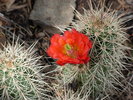 photo thumbnail #7