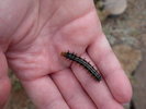 photo thumbnail #8
