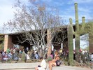 photo thumbnail #7