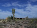 photo thumbnail #10